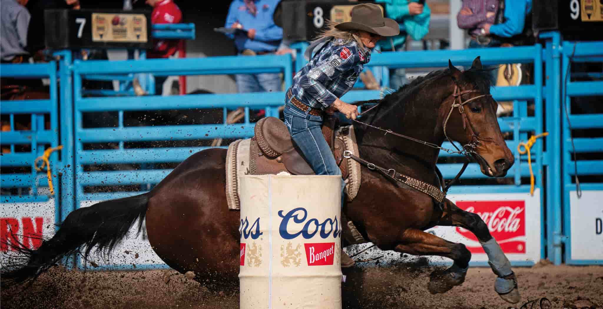 New Sponsor joining the StreamZ Family. Jana Bean joins the StreamZ family after seeing firsthand what positive impact our advanced magnetic technology has had on her horses.