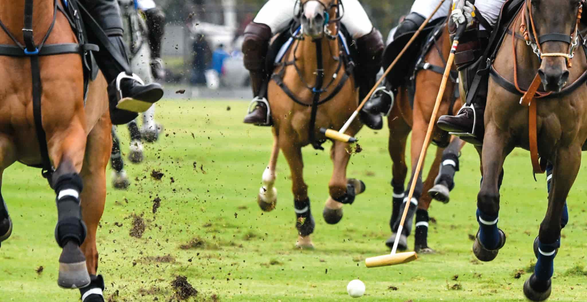 EQU Streamz magnetic bands The sport requires the ponies to move at extremely fast speeds, turn and stop all whilst saddling a rider.