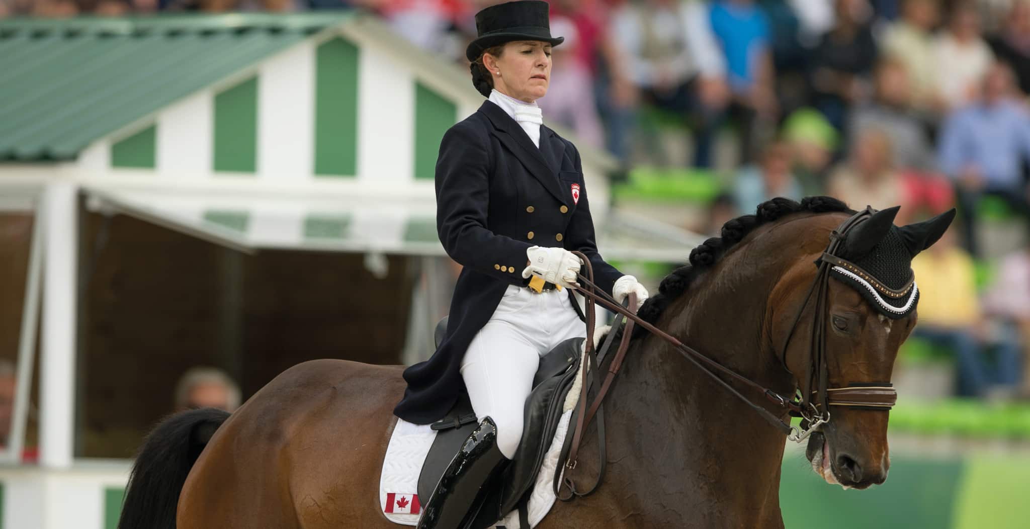 Belinda Trussell