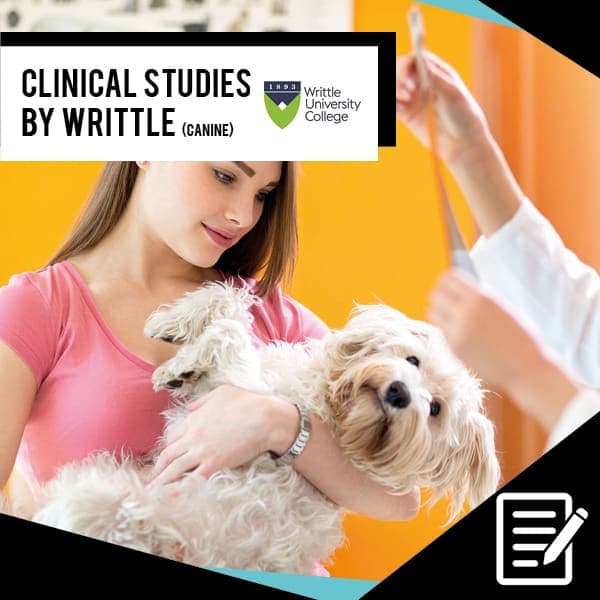 Clinical studies on dog streamz magnetic collars by independent authorities 
